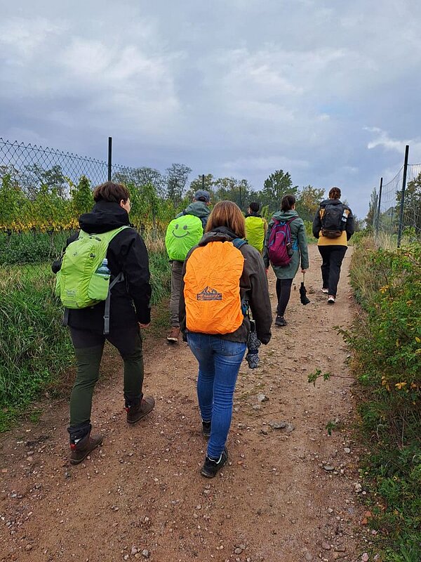 Mit geschlossenen Schuhen: erlebnispädagogische Wanderung im Elbtal