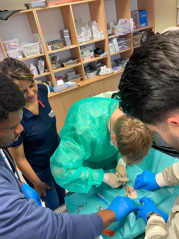 Mehrere Teilnehmende eines medizinischen Workshops üben gemeinsam an einem realitätsnahen Modell das Setzen einer Infusion oder Naht. Eine betreuende Fachkraft beobachtet die Szene, während die anderen konzentriert arbeiten. Alle tragen Handschuhe, einige auch Schutzkleidung.