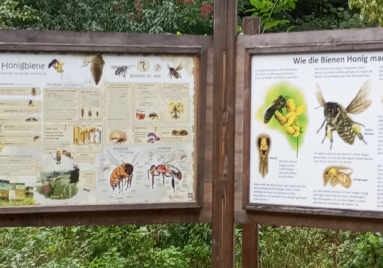 Exkursion ins Schul-Umwelt-Zentrum