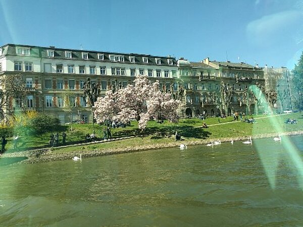 Inspirierend: Mein Blick auf Straßburg