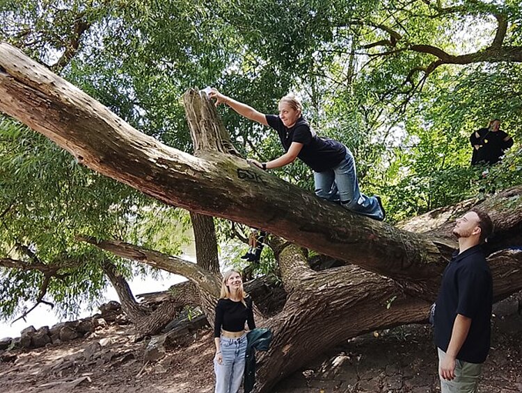 Eine Person klettert auf einem dicken, schräg gewachsenen Baumstamm und streckt den Arm aus, um etwas zu erreichen. Zwei weitere Personen stehen am Boden und schauen nach oben. Die Szene spielt im Freien unter dichtem, grünem Blätterdach. Alle tragen legere Kleidung.