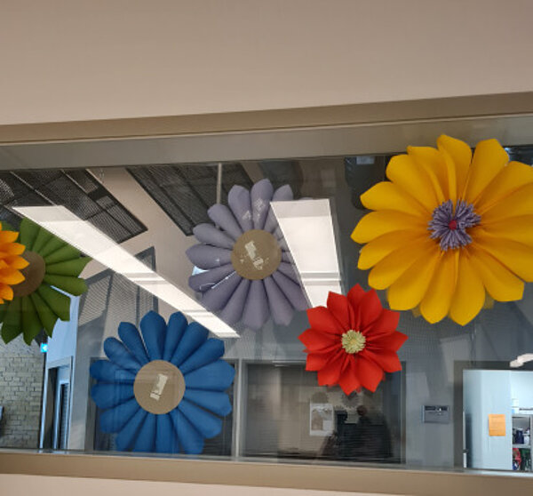 Buntes Fensterdekor mit großen Papierblumen in verschiedenen Farben (gelb, rot, blau, lila, grün) an einer Glaswand.