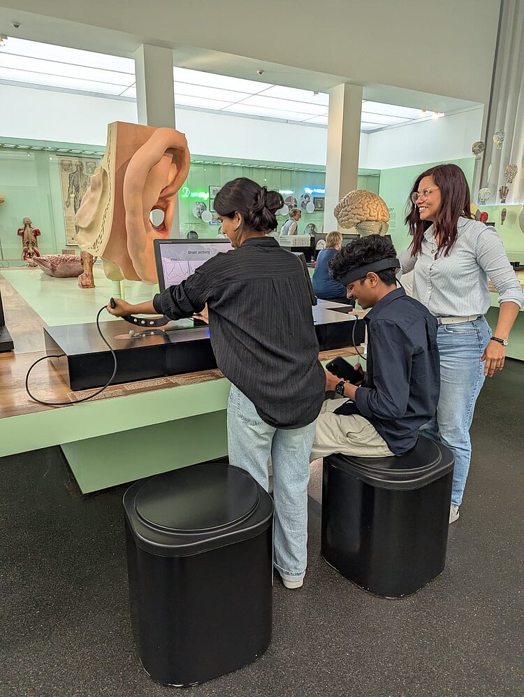 Drei junge Erwachsene sitzen und stehen an einer interaktiven Station in einem Wissenschaftsmuseum. Im Hintergrund ist ein übergroßes Modell eines Ohrs sowie weitere anatomische Exponate zu sehen. Die Besuchenden testen eine Station zur Gehirnaktivität.