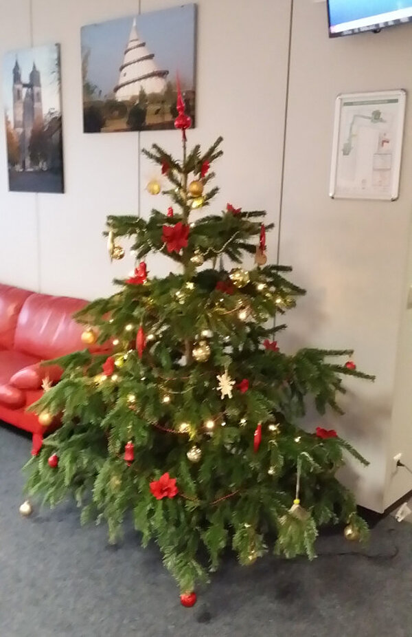Es weihnachtet in Magdeburg