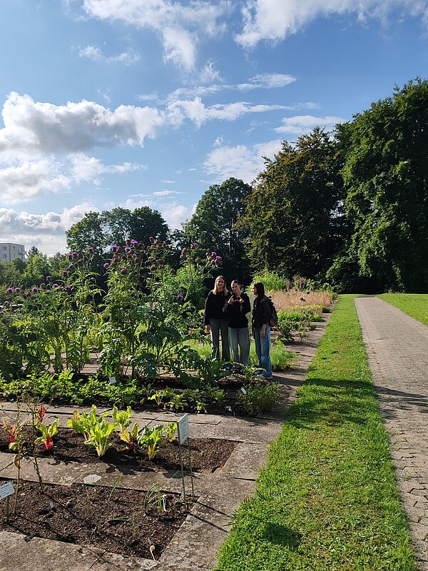 Exkursion in den Botanischen Garten Würzburg Drei Personen stehen weit entfernt von der Kamera zwischen Beeten im Botanischen Garten Würzburg. Im Hintergrund stehen dichte, hohe Bäume.
