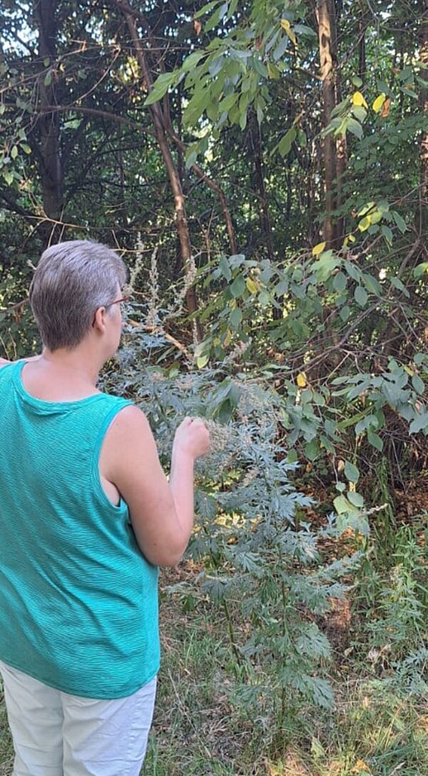 Eine Frau steht am Rand eines dicht bewachsenen Waldstücks und untersucht aufmerksam verschiedene Pflanzen.
