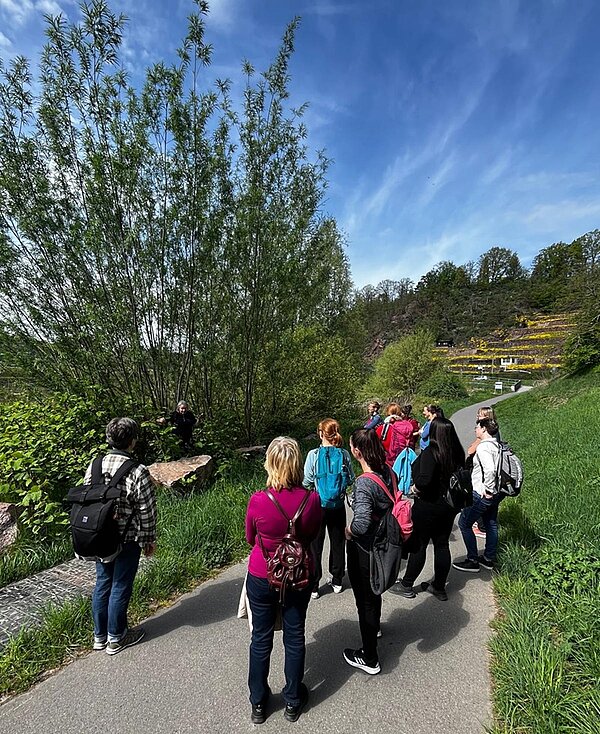 Teamevent der Euro Akademie