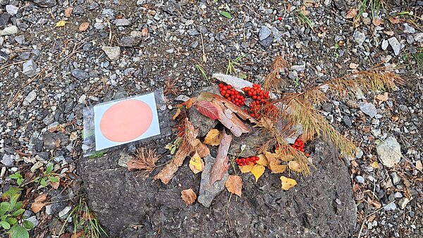 Ein kleines Naturkunstwerk auf einem Stein: Aus Rinde, roten Beeren, Blättern und Zweigen wurde eine Form gelegt, daneben liegt eine laminierte Karte mit einem roten Kreis.
