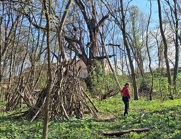Waldszene mit hohen Bäumen, einer aus Ästen gebauten Hütte und einer Person in roter Jacke auf einer grünen Lichtung.