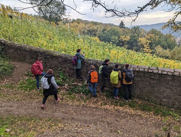 Mit geschlossenen Schuhen: erlebnispädagogische Wanderung im Elbtal