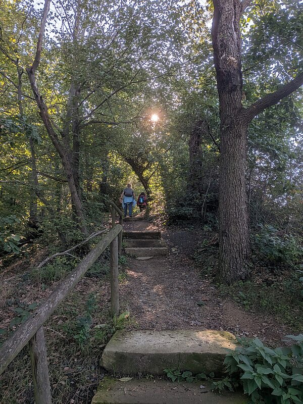 Schmaler Waldweg mit Steinstufen und Holzgeländer führt durch dichtes Grün bergauf. Zwei Personen gehen den Weg entlang, während die Sonne durch die Baumkronen scheint.