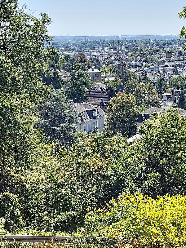 Ein Panoramablick auf eine Stadt mit dicht bebauten Häusern, die sich einen Hügel hinaufziehen. Im Vordergrund dominieren grüne Bäume und Sträucher.