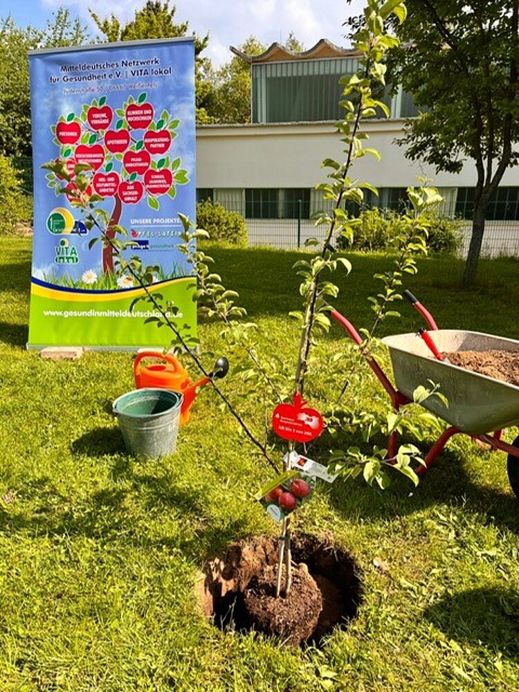 Eine Baumspende am Projekttag