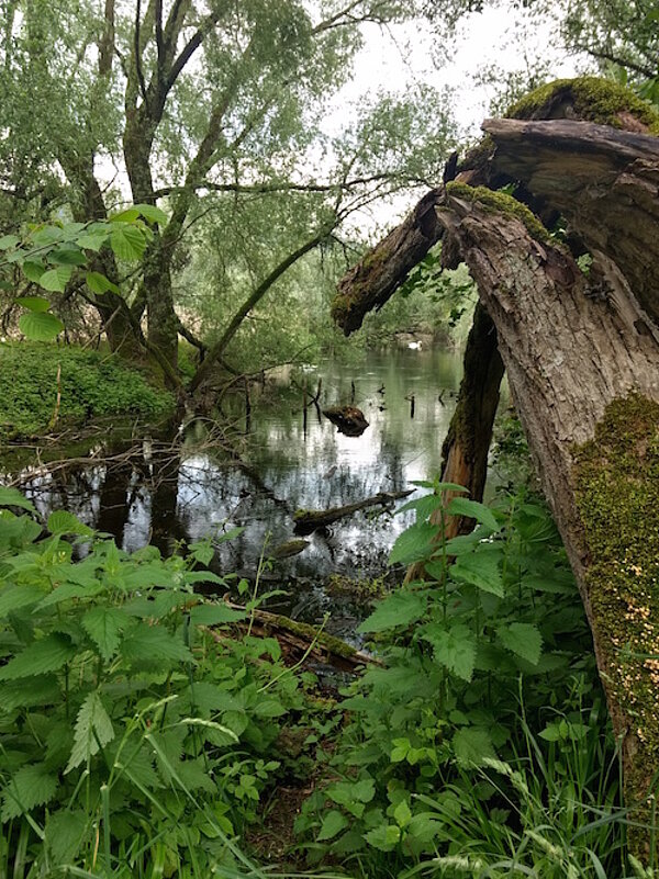Abschlussfahrt an den Bodensee