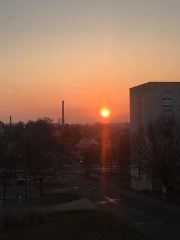 Auslandspraktikum in Ungarn
