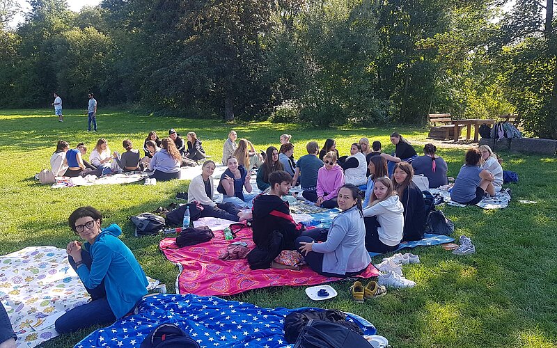 Eine große Gruppe sitzt auf verschiedenen bunten Picknickdecken auf einer Wiese in einem Park.