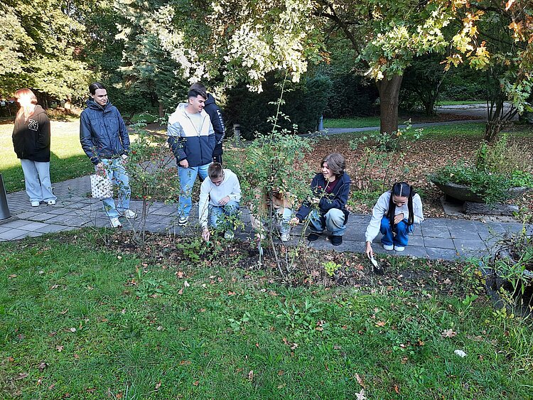 Eine Gruppe junger Menschen pflegt ein Beet in einem Park. Einige stehen, andere hocken am Boden und graben kleine Löcher oder pflanzen. Die Sonne scheint durch die Bäume, und der Hintergrund zeigt herbstliches Laub und grüne Wiesen.