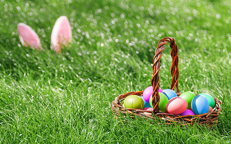 Auf einer Wiese steht ein Korb mit bunten Eiern darin, etwas weiter hinten sind die Ohren eines Hasen erkennbar, die aus dem Gras herausragen.