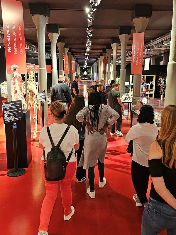 Anatomie hautnah erlebt – Ein unvergesslicher Ausflug ins Plastinarium! Eine Gruppe von Auszubildenden der Euro Akademie Görlitz laufen durch eine große Halle des Plastinariums. Der lange Gang ist gesäumt von Säulen und Exponaten.