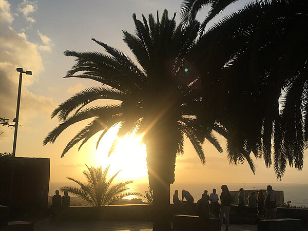 Eine große Palme wird von hinten von der Sonne angestrahlt, die direkt über dem Horizont des Meeres steht. Die Palme steht auf einem Plattform mit einer niedrigen Mauer, auf der mehrere Personen sitzen oder davor stehen, die aufgrund des Gegenlichts nur diffus zu erkennen sind.