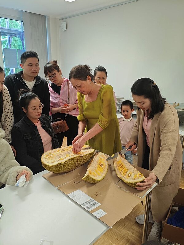 Mehrere Personen stehen um einen Tisch und schneiden große Jackfruits mit Messern. Die Jackfruits liegen auf Pappe auf dem Tisch. Im Hintergrund sind weitere Personen und ein Fenster zu erkennen.