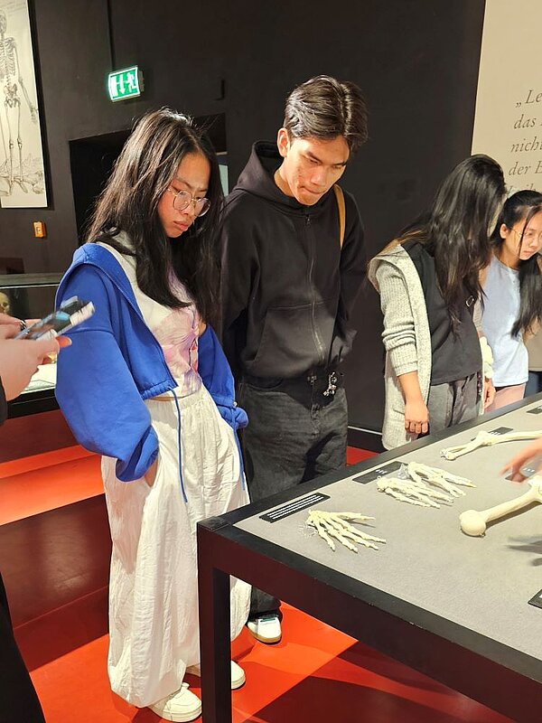 Anatomie hautnah erlebt – Ein unvergesslicher Ausflug ins Plastinarium! Eine Gruppe von Auszubildenden der Euro Akademie Görlitz betrachtet aufmerksam anatomische Exponate, darunter Knochen der Hand, in einer Ausstellung im Plastinarium Guben.