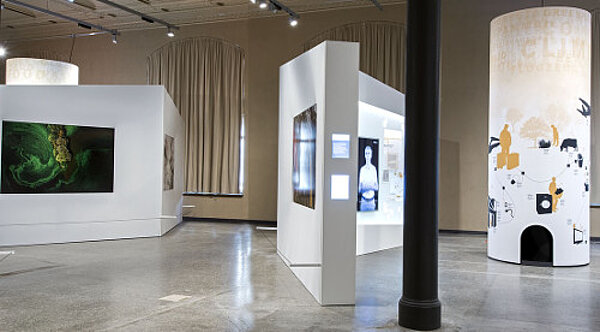 Umwelt als Kunstobjekt: Sonderausstellung ARTEFAKTE