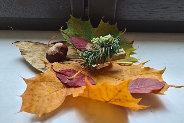 Tag der offenen Tür – Motto: „Mit Kürbissuppe und Kartoffelkuchen in den Herbst“