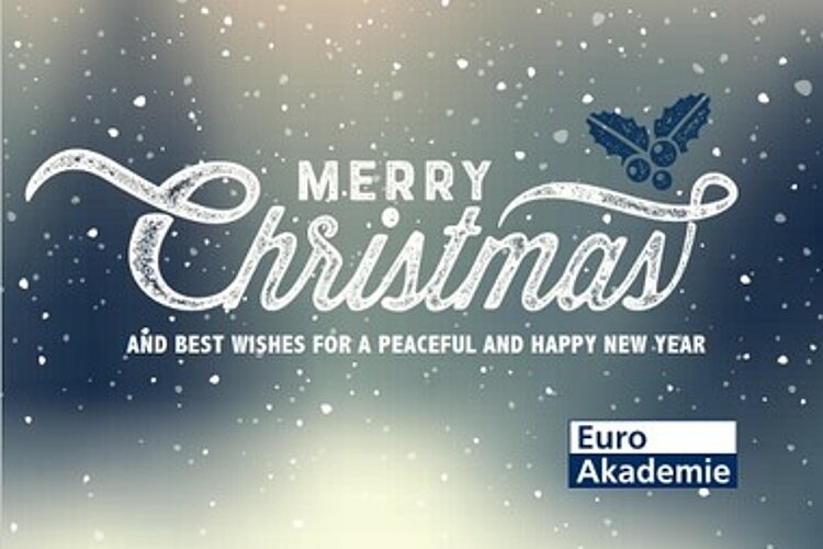 Frohe Weihnachten und einen guten Start ins neue Jahr!