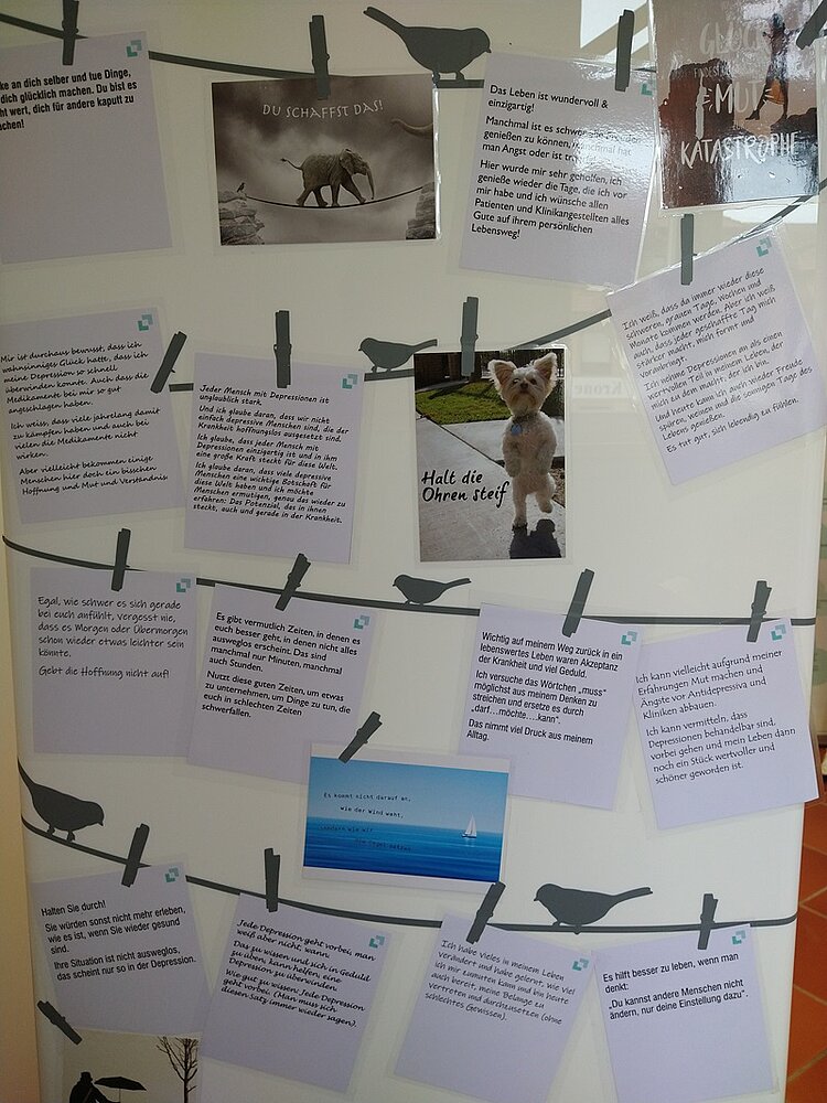 Aufklärung durch Kunst Aufmunternde und motivierende Notizwand.