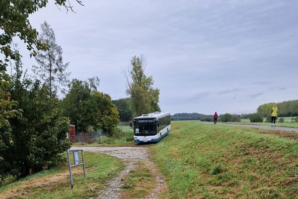 Mitteldeutscher Marathon: Läuft bei uns!