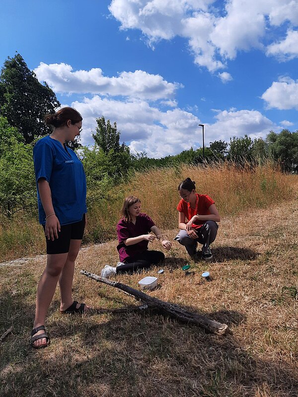 Ein Sinneskreis am Goitzsche-Strand: Lernen, Fühlen, Erleben! Drei Frauen bei einer Übung im Freien. Zwei knien auf der Wiese, die dritte steht daneben. Auf dem Boden liegen Naturmaterialien und ein Ast.