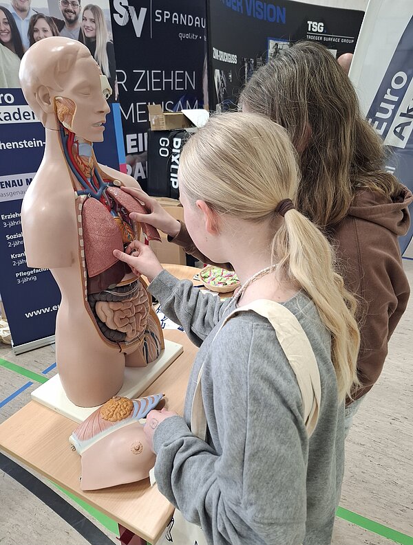 Zwei Jugendliche betrachten ein anatomisches Modell und entdecken anschaulich den Aufbau des menschlichen Körpers.