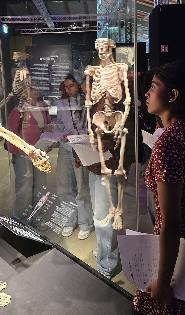 Eine Gruppe von Schülerinnen steht vor einer Glasvitrine in der Ausstellung "Körperwelten" und betrachtet aufmerksam ein ausgestelltes Skelett. Einige halten Informationsblätter in den Händen und scheinen sich Notizen zu machen. Im Hintergrund sind weitere Exponate und eine große Infotafel zu sehen.