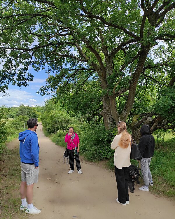 Walk & Talk