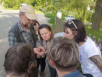 Die Dozentinnen und Dozenten der Euro Akademie Hohenstein-Ernstthal stehen im Kreis und schauen sich ein Insekt auf der Hand eines Teilnehmenden an.