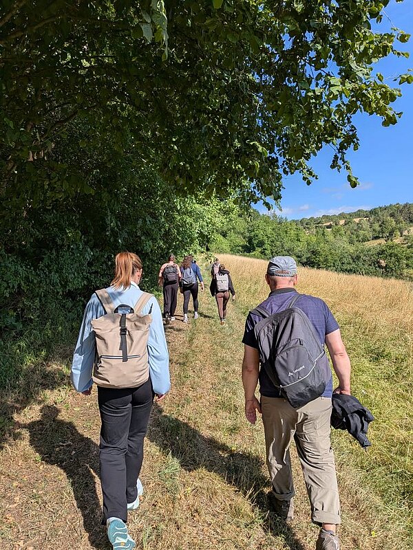Eine Gruppe von Wanderern auf einem schmalen Pfad in einer ländlichen Umgebung. Die Personen tragen Rucksäcke und gehen je zwei nebeneinander durch eine grüne Landschaft mit Feldern und Bäumen.