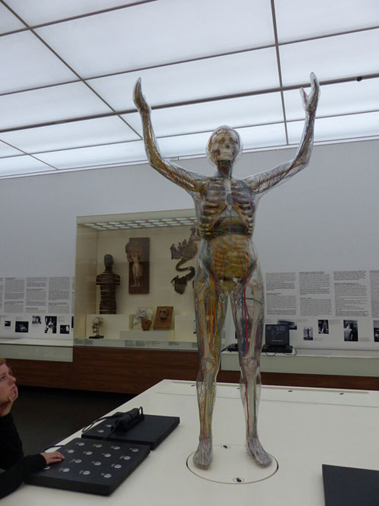 Ausflug ins Deutsche Hygienemuseum