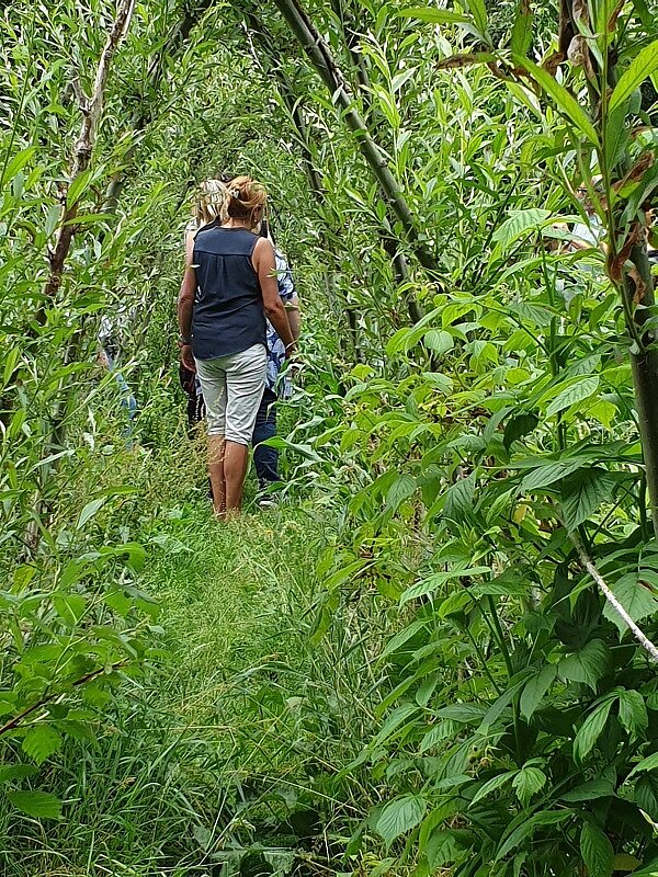 Exkursion in den Naturpark