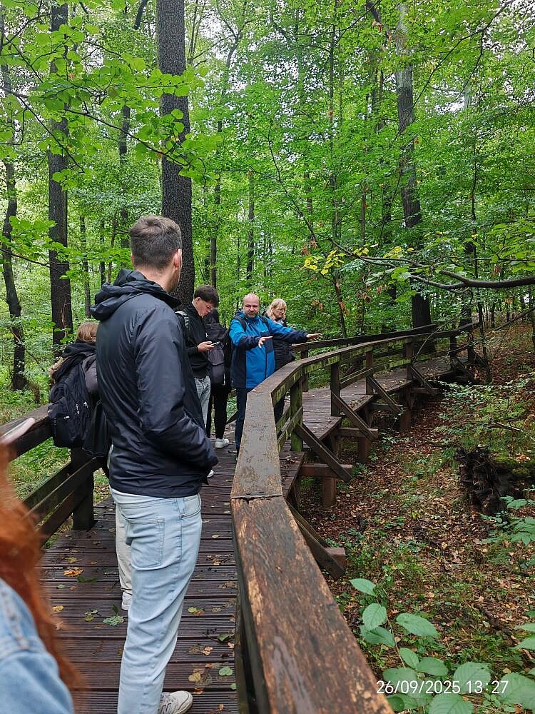 Eine Gruppe von Menschen steht auf einem Holzsteg, der sich durch einen grünen Wald schlängelt. Die Personen tragen wetterfeste Kleidung und scheinen sich zu unterhalten oder die Umgebung zu betrachten. Der Steg ist von Bäumen und üppiger Vegetation umgeben, was auf einen naturnahen Wanderweg hindeutet.