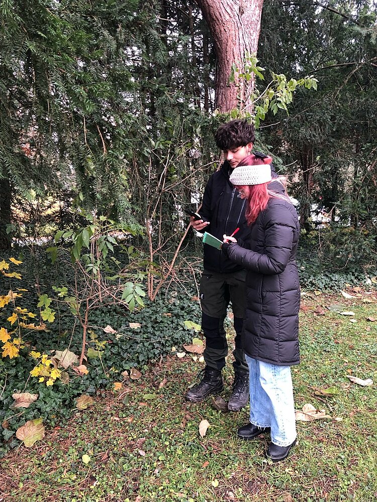 Botanische Exkursion Eine Schülerin und ein Schüler bestimmen mithilfe der Bestimmungs-App auf ihrem Handy eine Pflanze und machen sich Notizen.