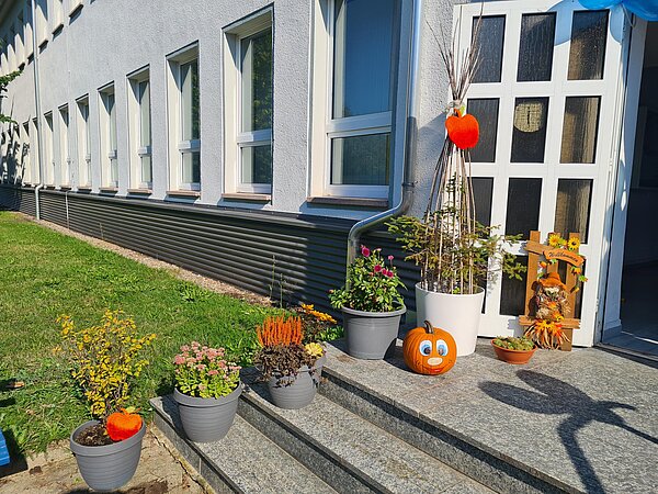 Ein Treppe eines Hauseingangs, auf der Kürbis und Blumenkübel stehen.