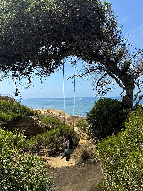 Eine junge Frau mit langen dunklen Haaren sitzt auf einer Schaukel, die an einem knorrigen, schräg wachsenden Baum befestigt ist. Die Schaukel hängt über einem sandigen Pfad, der von dichtem, grünem Buschwerk umgeben ist. Im Hintergrund ist das blaue Meer unter einem klaren Himmel zu sehen, mit einigen kleinen Felsen und einer felsigen Küstenlinie. Die Szene vermittelt eine ruhige, natürliche Atmosphäre an der Küste von San Diego, Kalifornien, aufgenommen während eines Auslandsaufenthaltes einer Auszubildenden der Euro Akademie Bamberg.