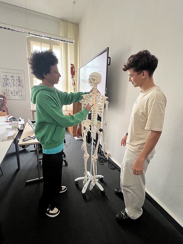 Zwei Jugendliche in einem Klassenraum betrachten und berühren ein lebensgroßes Skelettmodell auf Rollen vor einem großen Bildschirm.