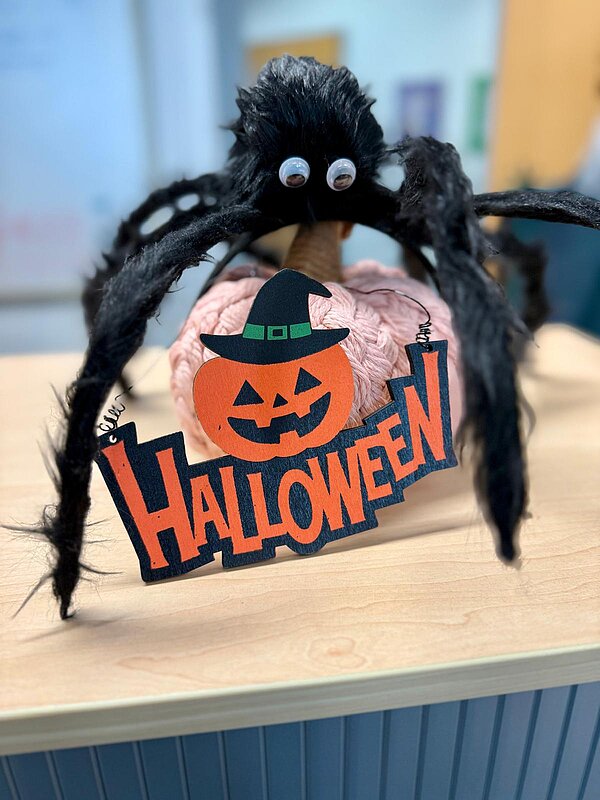 Gruselstimmung pur an der Euro-Schule & Euro-Akademie Dresden! Auf einem Tisch steht eine rosafarbene, gestrickte Kürbisdekoration mit einer großen, schwarzen Kunstspinne darauf. Die Spinne hält ein Schild mit einem lachenden Kürbisgesicht und der Aufschrift „Halloween“.