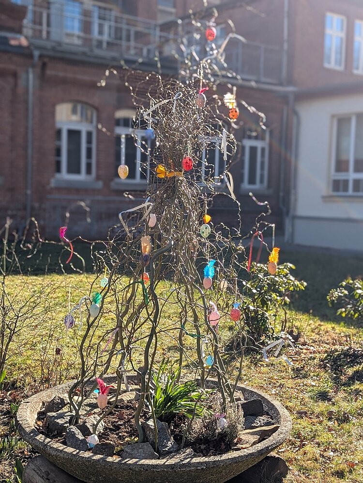Ein großer, runder Pflanzkübel steht im Vordergrund des Gartens der Euro Akademie Riesa. In der Mitte wachsen mehrere dünne, stark geschwungene Zweige nach oben. An den Zweigen hängen zahlreiche bunte Plastikeier und kleine Dekorationen. Im Hintergrund ist ein mehrstöckiges Backsteingebäude mit weißen Fensterrahmen und Balkonen zu sehen. Die Szene ist von Sonnenlicht durchflutet.