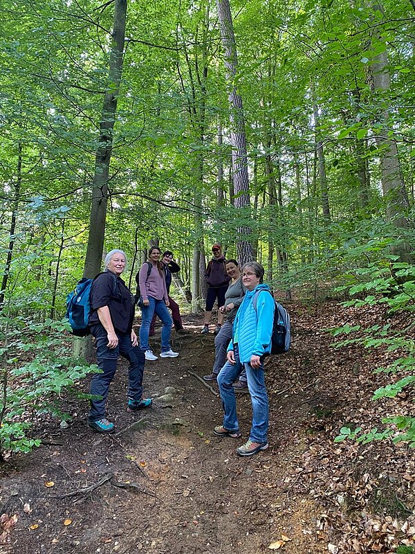 Die Mitarbeitenden posieren auf einem aufsteigenden Waldweg für ein gemeinsames Erinnerungsbild. 