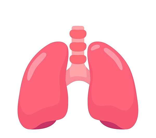 Eine hellrotte Illustration einer Lunge.