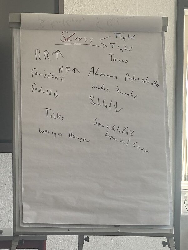 Ein Flipchart mit handschriftlichen Notizen auf Deutsch zum Thema 'Stress'. Darauf sind Worte und Abkürzungen wie 'Fight', 'Flight', 'RR', 'HF', 'Geduld', 'Schlaf', 'Ticks', 'weniger Hunger' und 'Sensibilität' aufgelistet. Das Blatt wirkt als Ergebnis einer Brainstorming-Session.