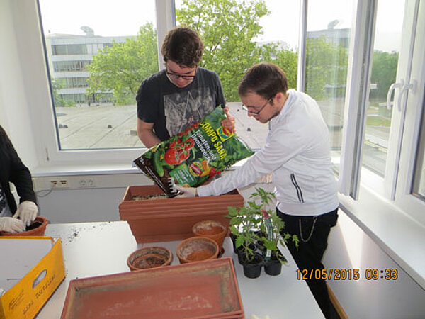Nachhaltige Schule